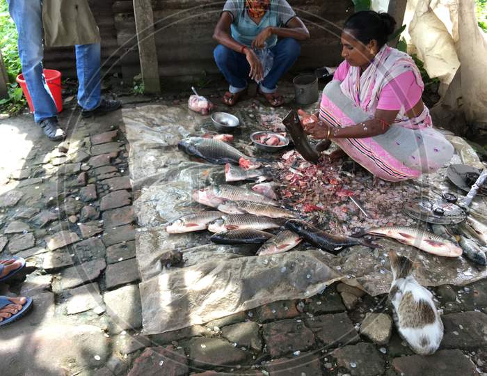 Indian woman cutting and selling fish in a local market