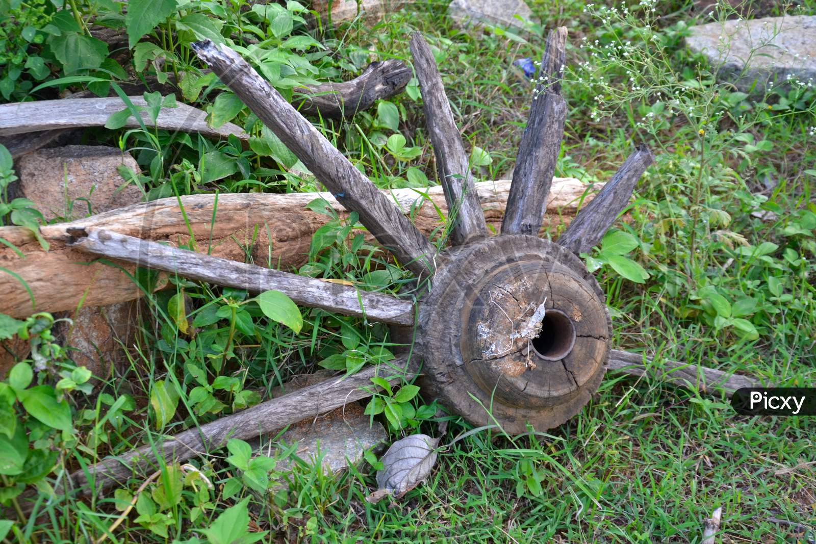 A broken wooden wheel lying in wilderness
