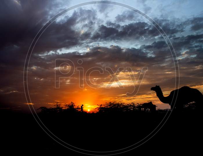 silhouette of man and camel in sunset with dramatic sky and clouds in it