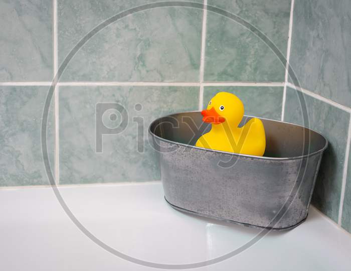 Yellow rubber duck in the bathroom