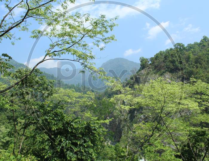 View Of Green Trees And Blue Sky And Mountain From A Long Distance