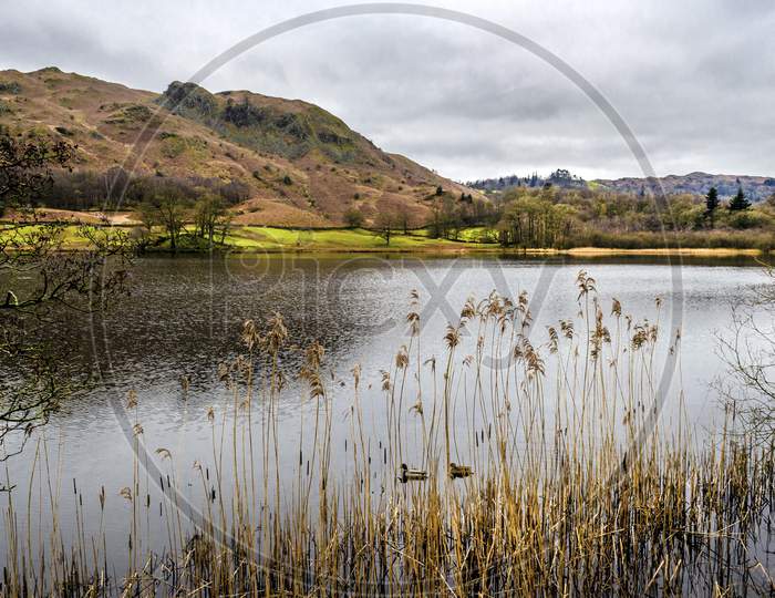 A view of Rydal water from the road