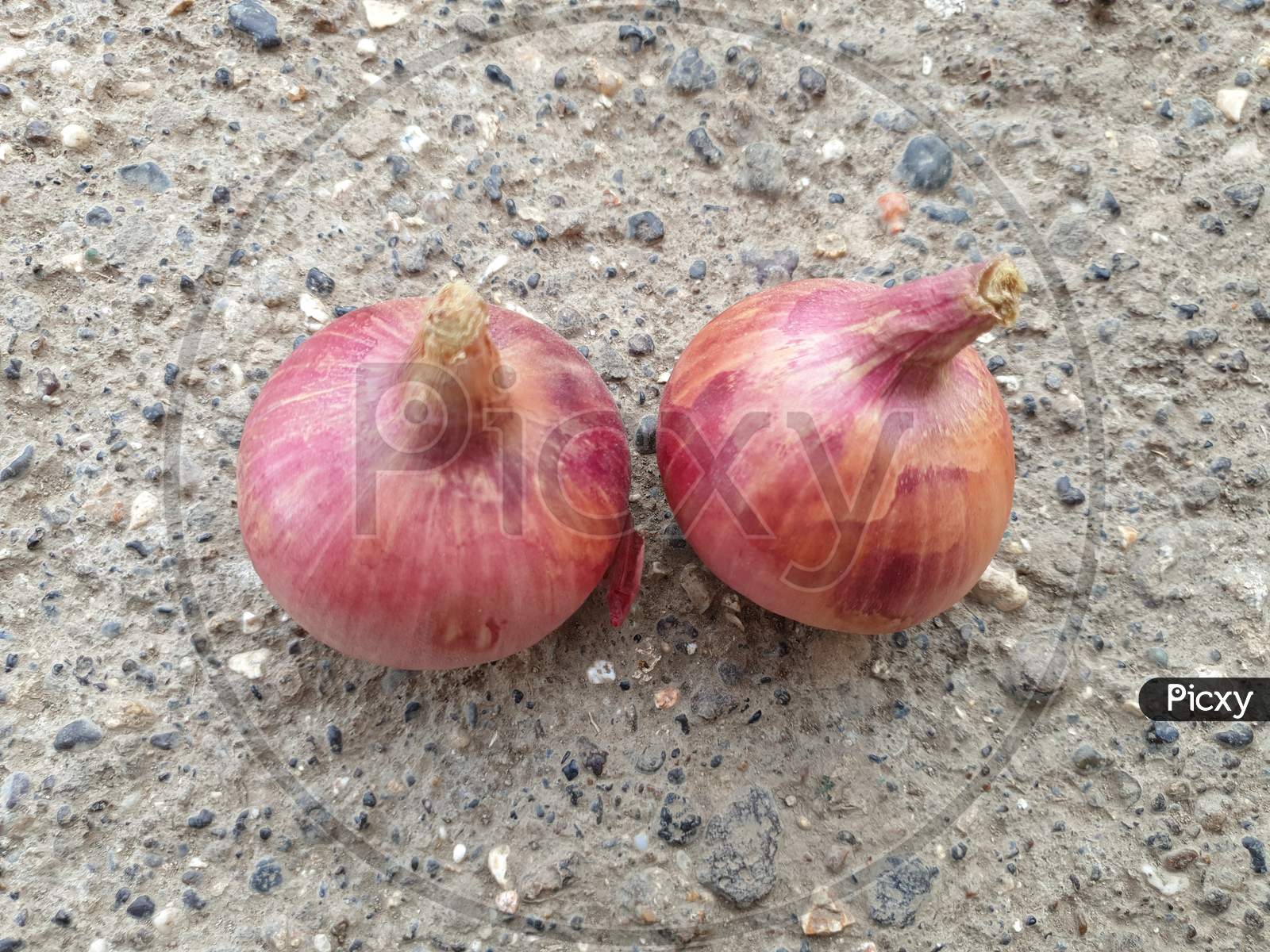 This is an onion