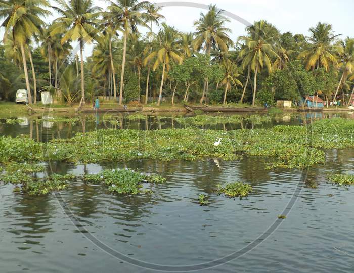 View of a village near a Backwater Canal in Kumarakom, Kerala