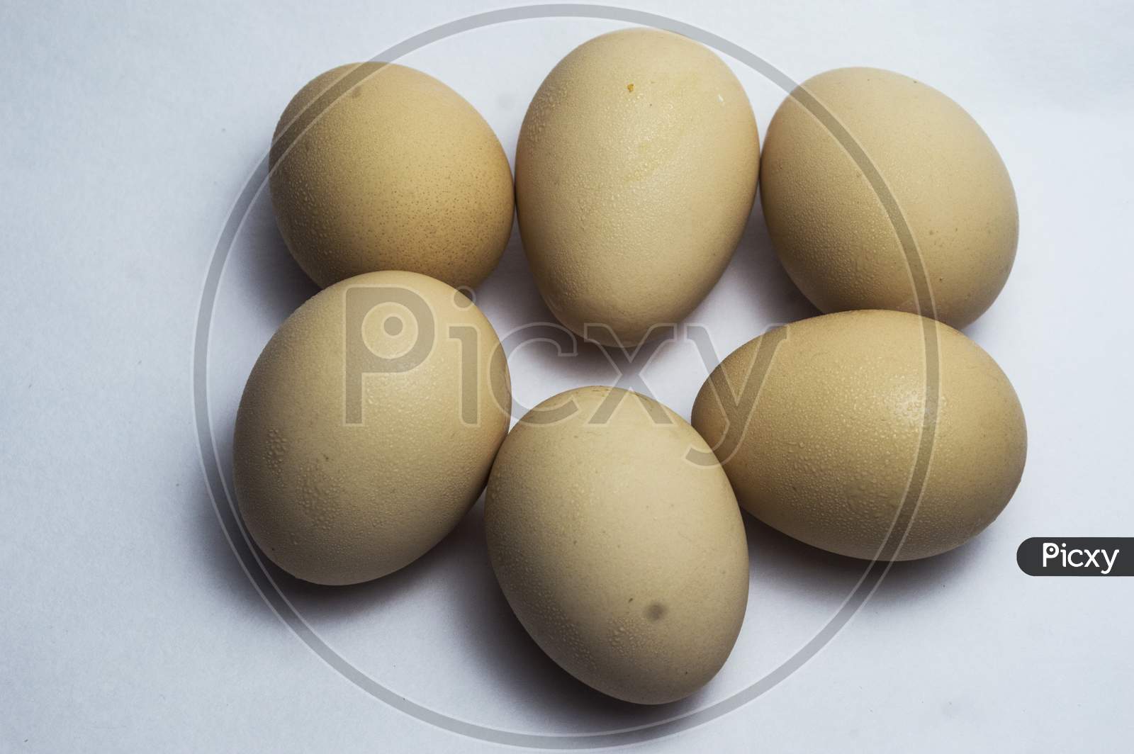 Organic hen eggs