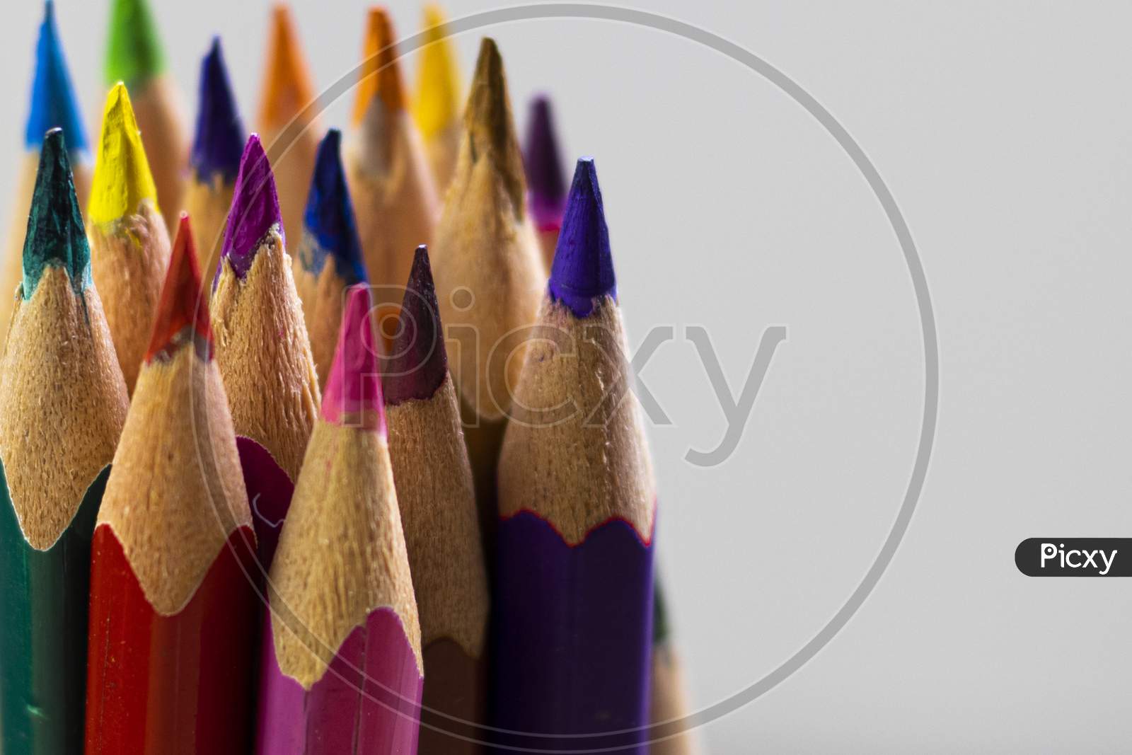 Group Of Colorful Wooden Pencils Close-Up Shot With Selective Focus Or Shallow Depth Of Field On White Background And Space For Text On Right Side