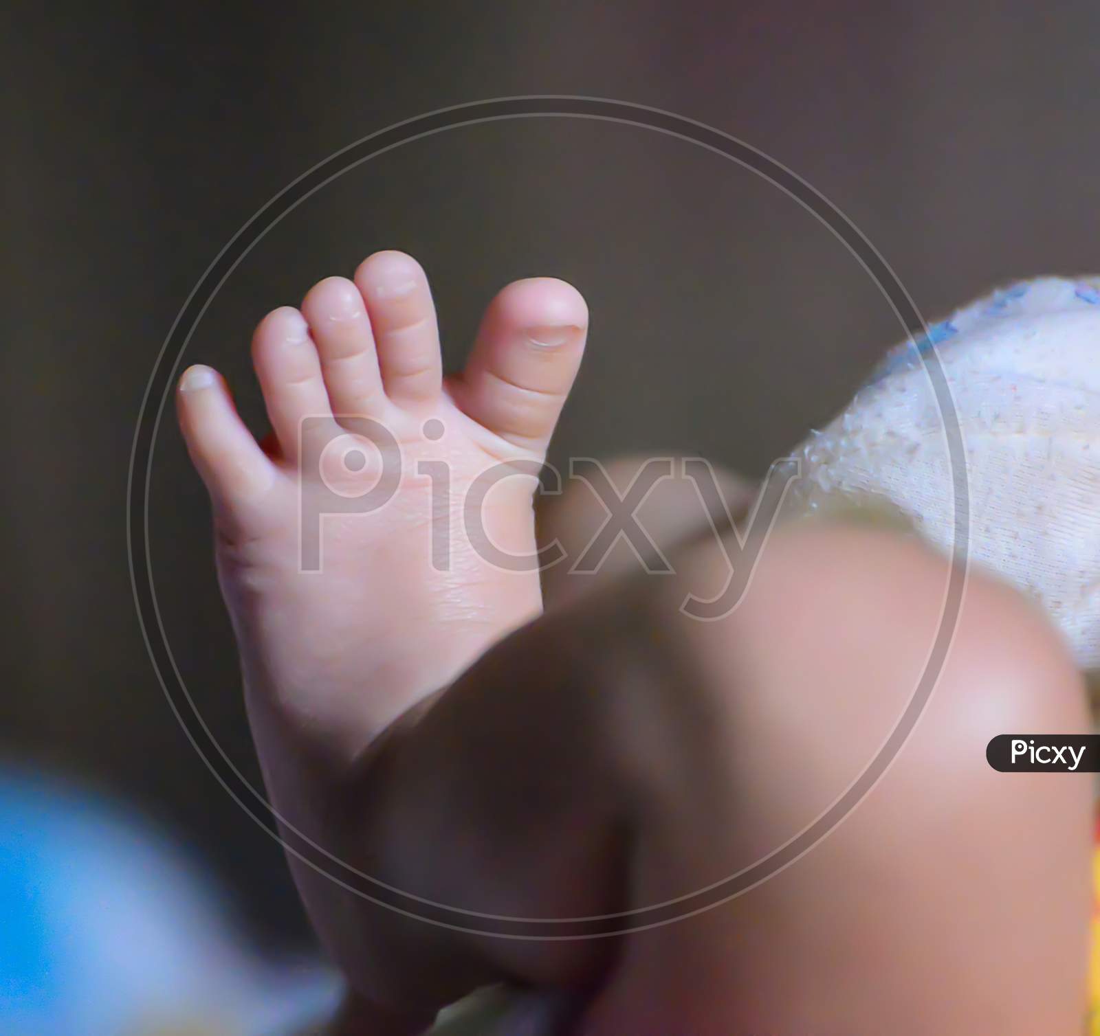 Photograph of Newborn baby Tiny feet