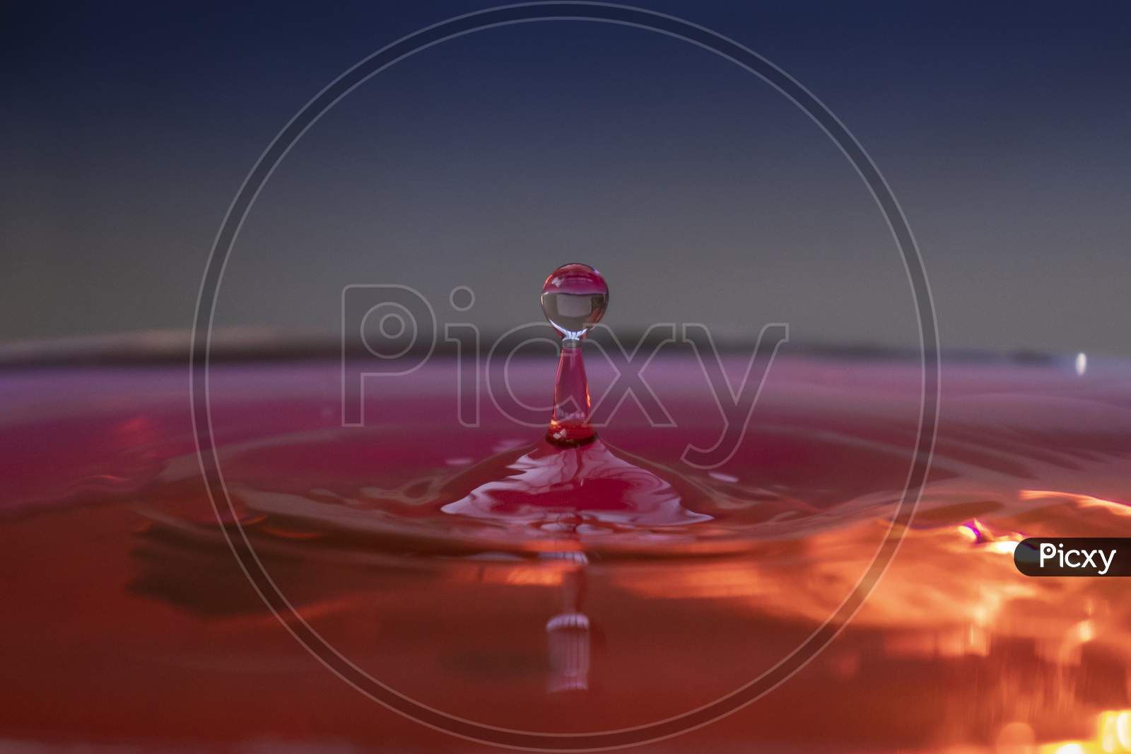 Water Droplet Rises After Falling On Red Pink Surface