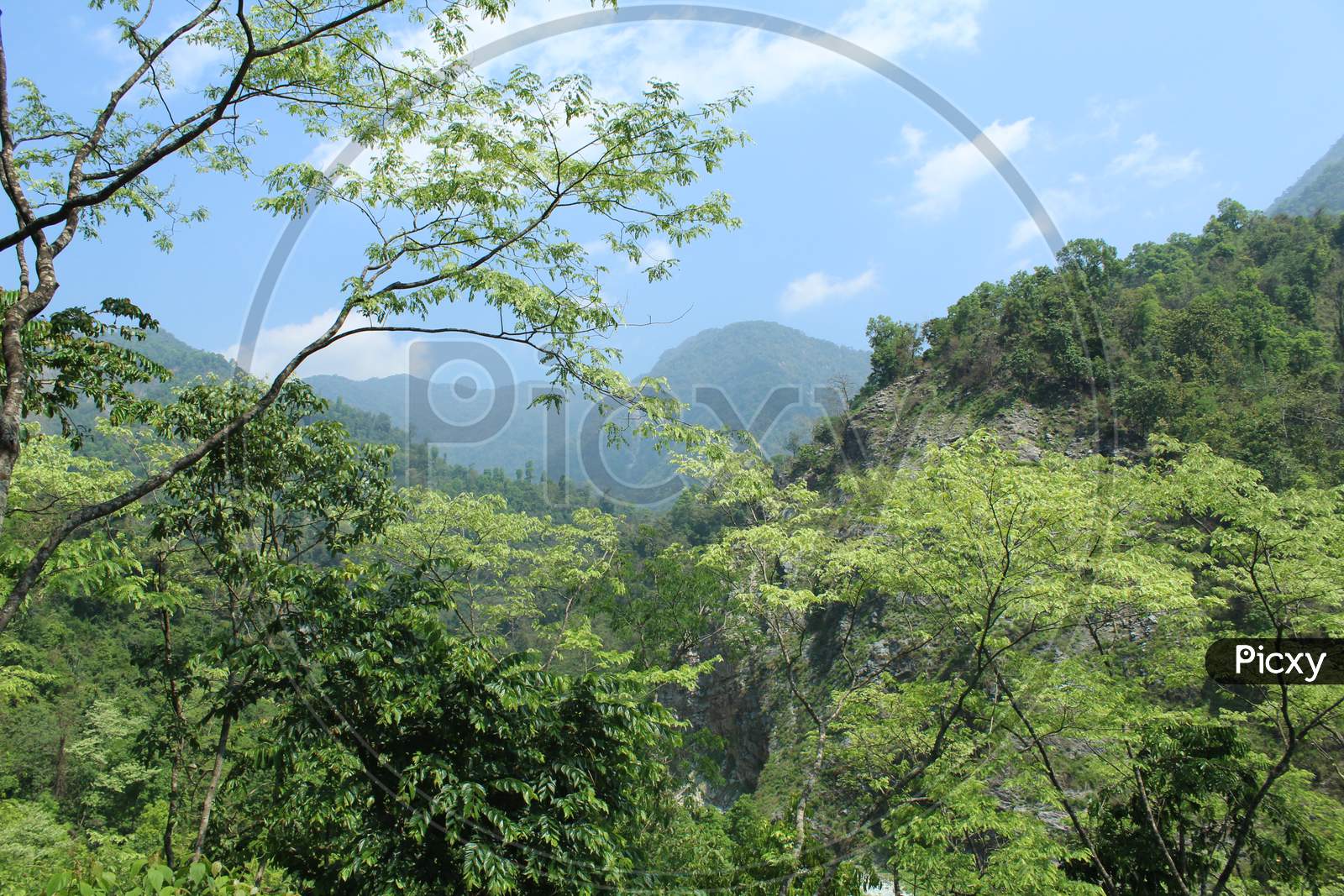 View Of Green Trees And Blue Sky And Mountain From A Long Distance