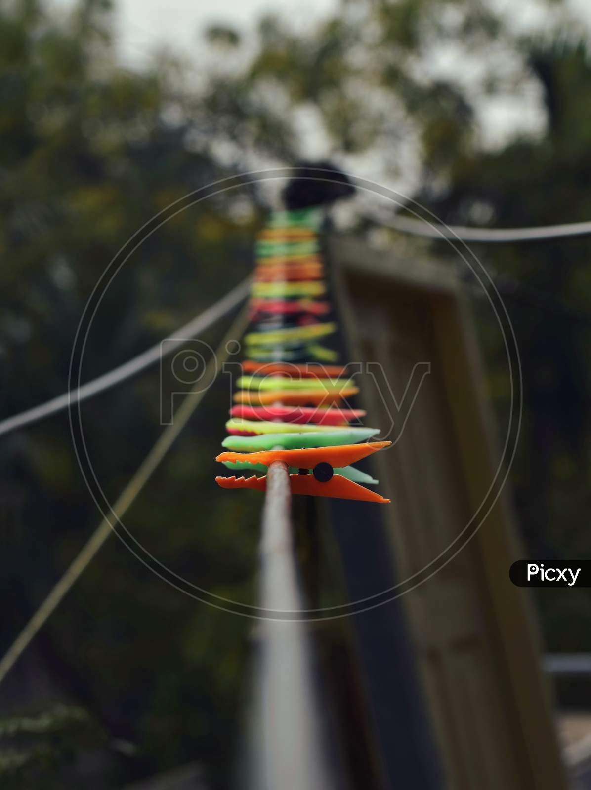 Some plastic clips are on the rope with blurred background.