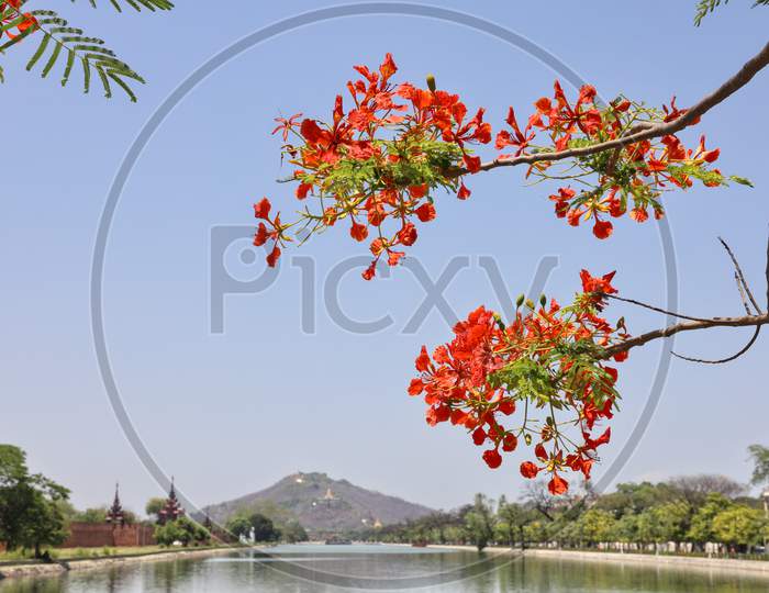 Image Of MANDALAY/MYANMAR(BURMA) - 26th Nov, 2019 : Mandalay Is A ...