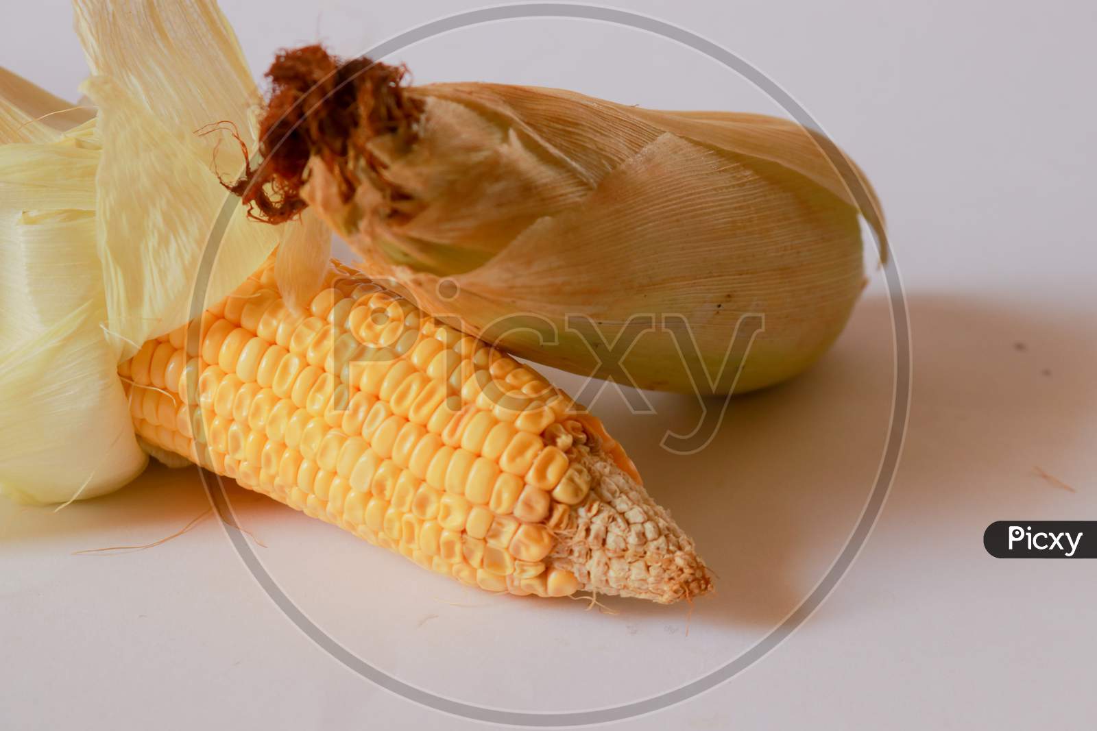 corn Seeds isolated on white