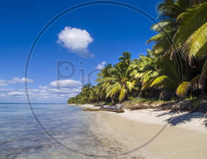 Deserted Caribbean beach with blue sea, sand and blue sky