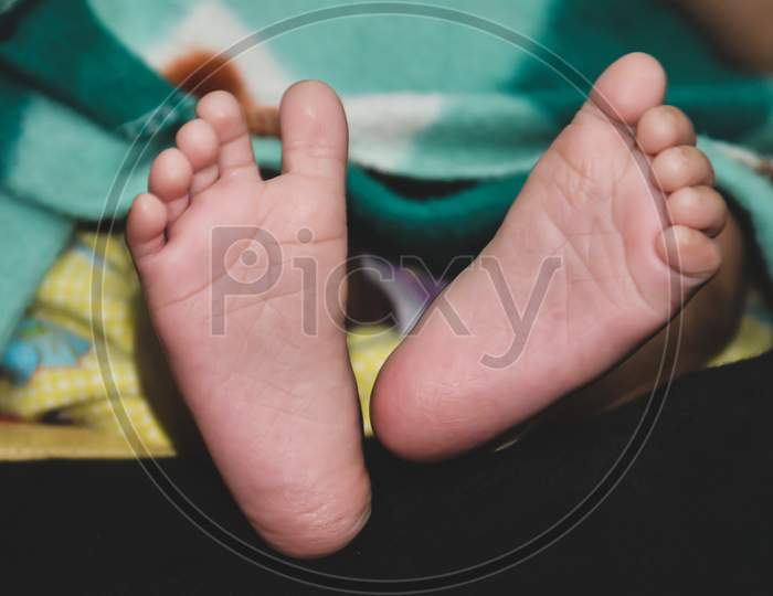 Photograph of New born Baby boy feet