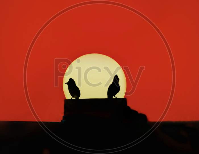 Two birds are sitting on a platform and the sun is in the background with the orange coloured sky.