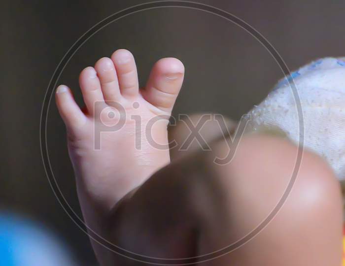 Photograph of Newborn baby Tiny feet