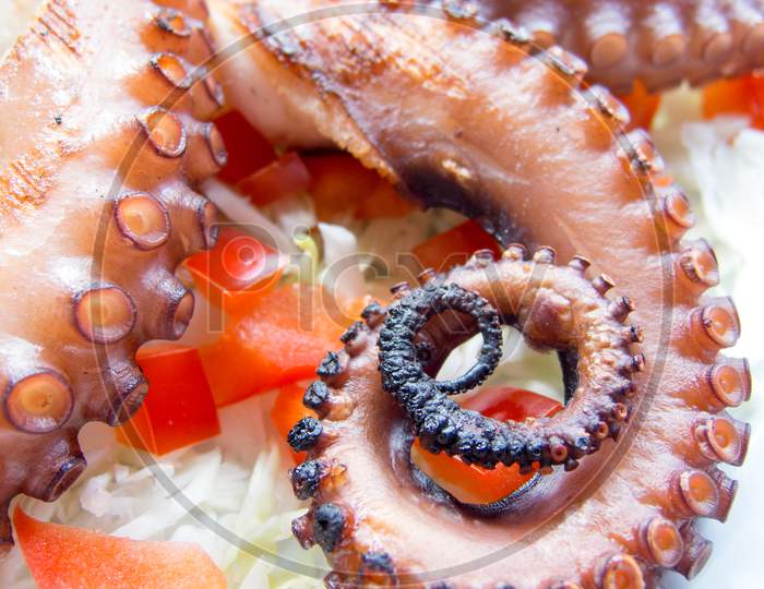 grilled octopus with vegetables on white plate