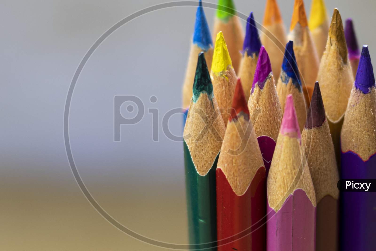 Group Of Colorful Wooden Pencils Close-Up Shot With Selective Focus Or Shallow Depth Of Field And Space For Text On Left Side