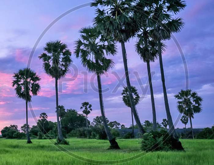 Beautiful pictures of Cambodia