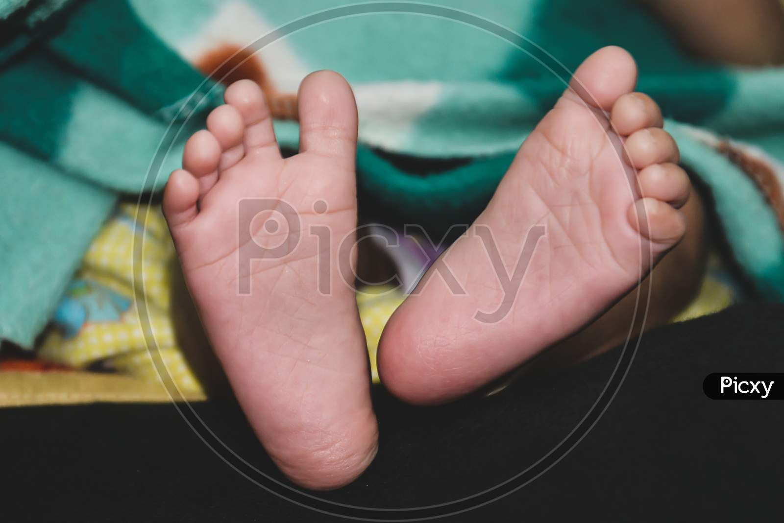 Photograph of New born Baby boy feet
