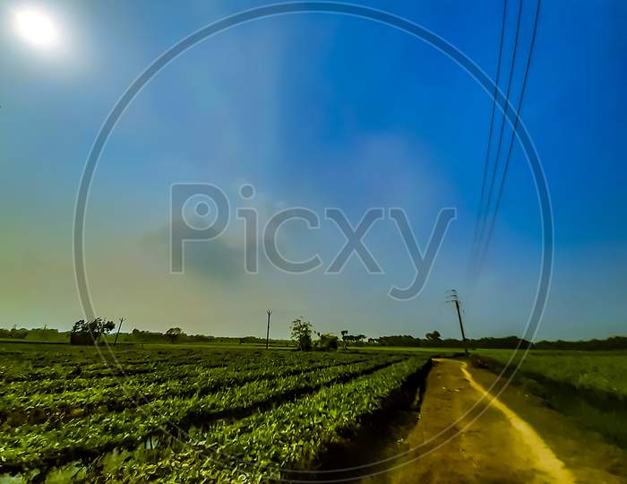 Green Agriculture Land,Village Way And Blue Sky With White Clouds And Village Environment.
