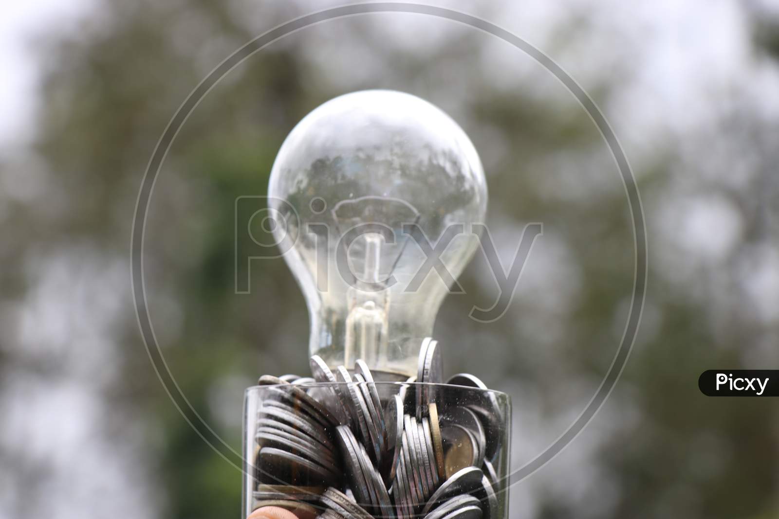 Pennies With Glass Bulb On Its Top Showing Ideas And Innovation Concept Or Growing Business With Money Ideas Concept