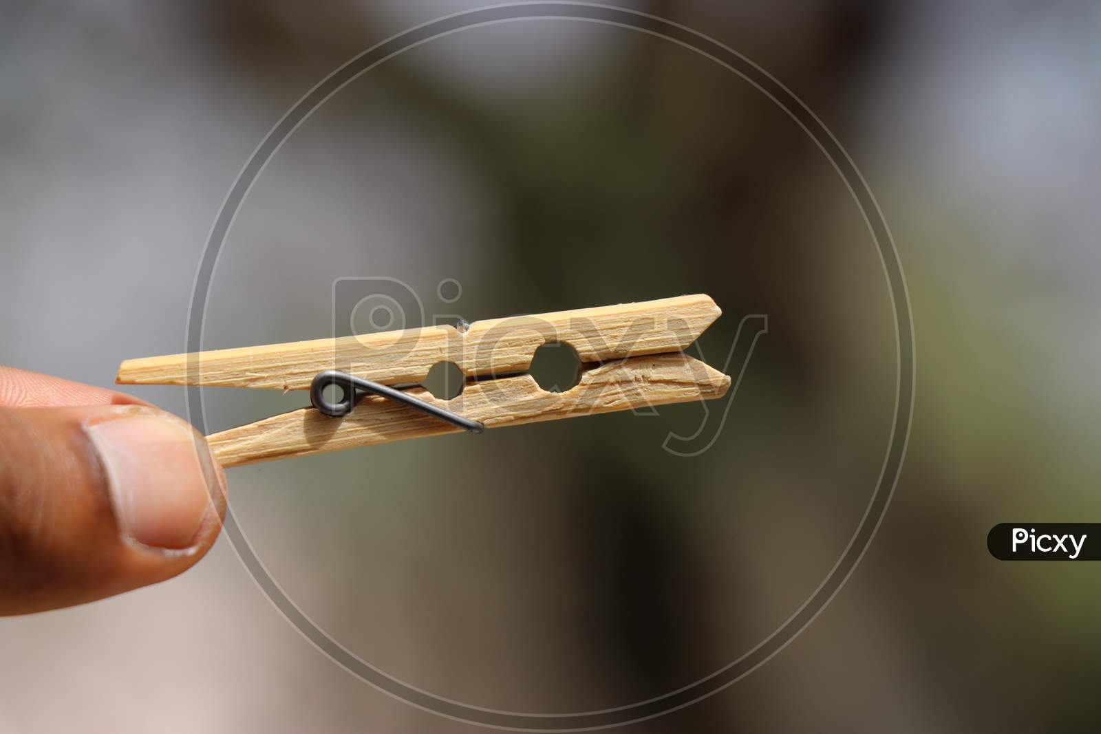 Wooden Cloth Clip Which Is Used In Drying Washed Clothes