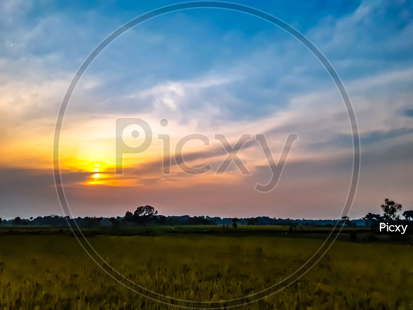 Indian Farmland And Colorful Sunshine At Sunset, White Clouds In The Blue Sky And Beautiful Surrounding