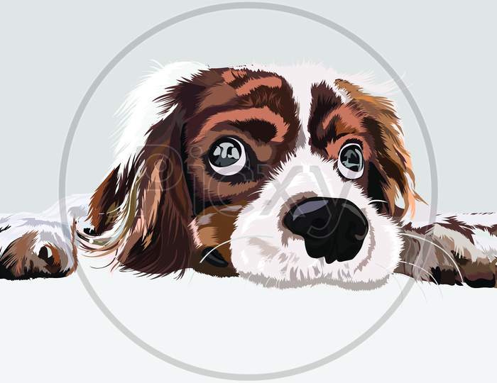 dog with dog icon.