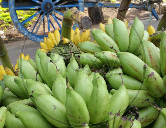 Scenic view of bananas against the backdrop of bullock cart