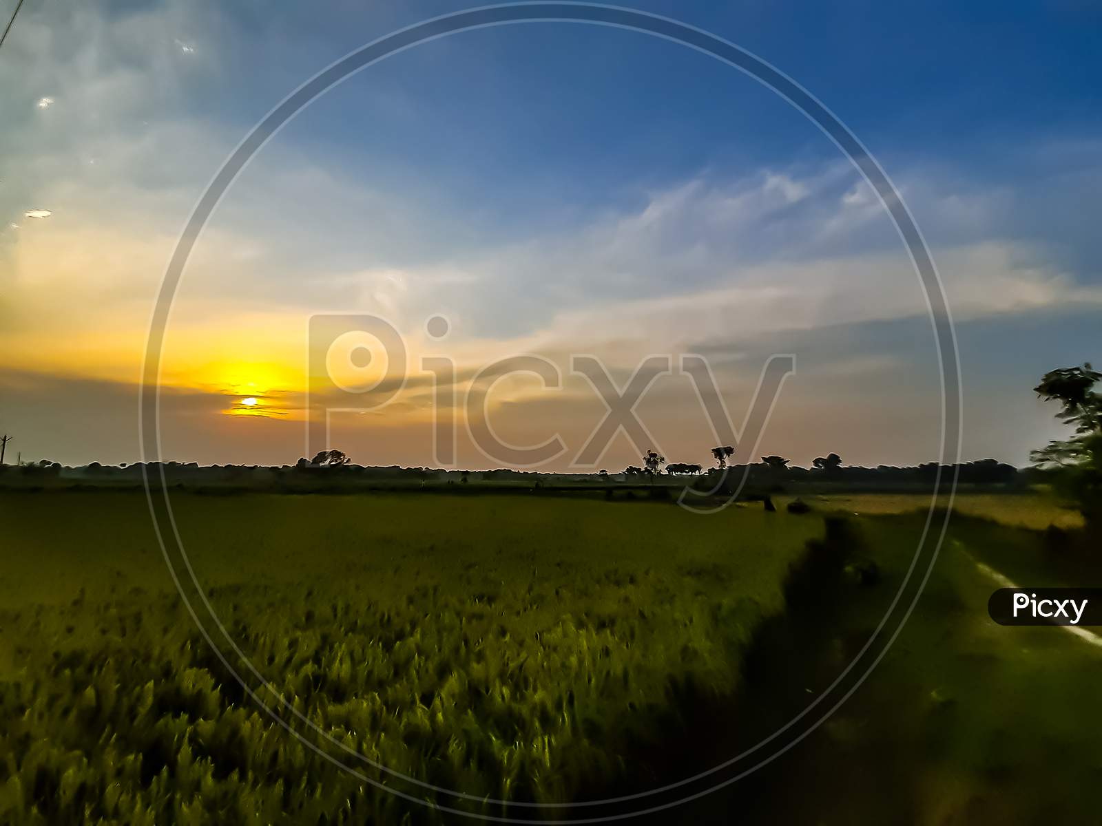 Indian Farmland And Colorful Sunshine At Sunset, White Clouds In The Blue Sky And Beautiful Surrounding.