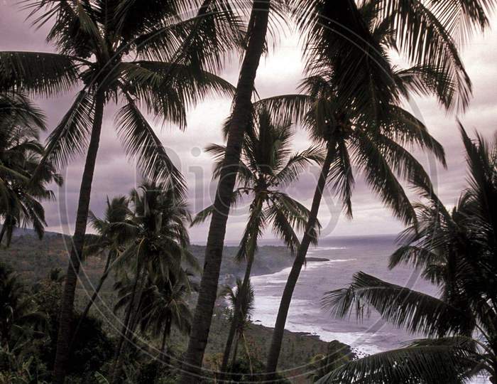 Beautiful pictures of Comoros