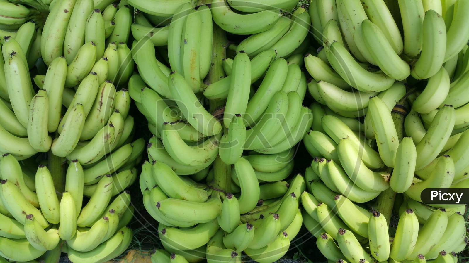 Close up of green bananas in a market