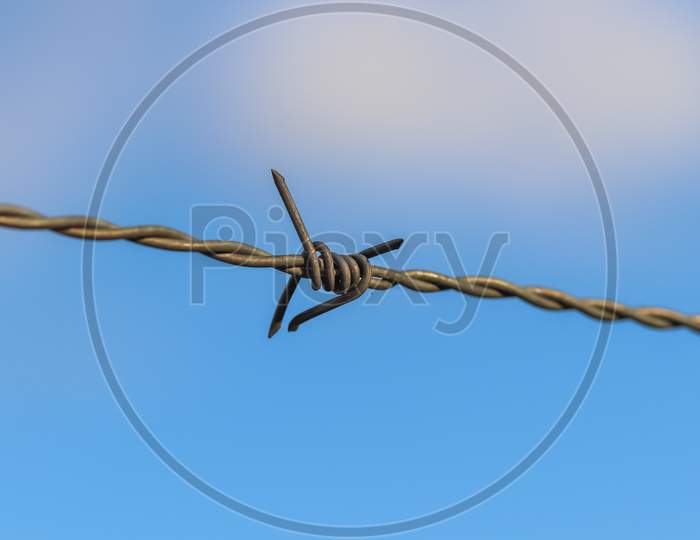 Close up view on barbed wire on a field with a soft bokeh in the background
