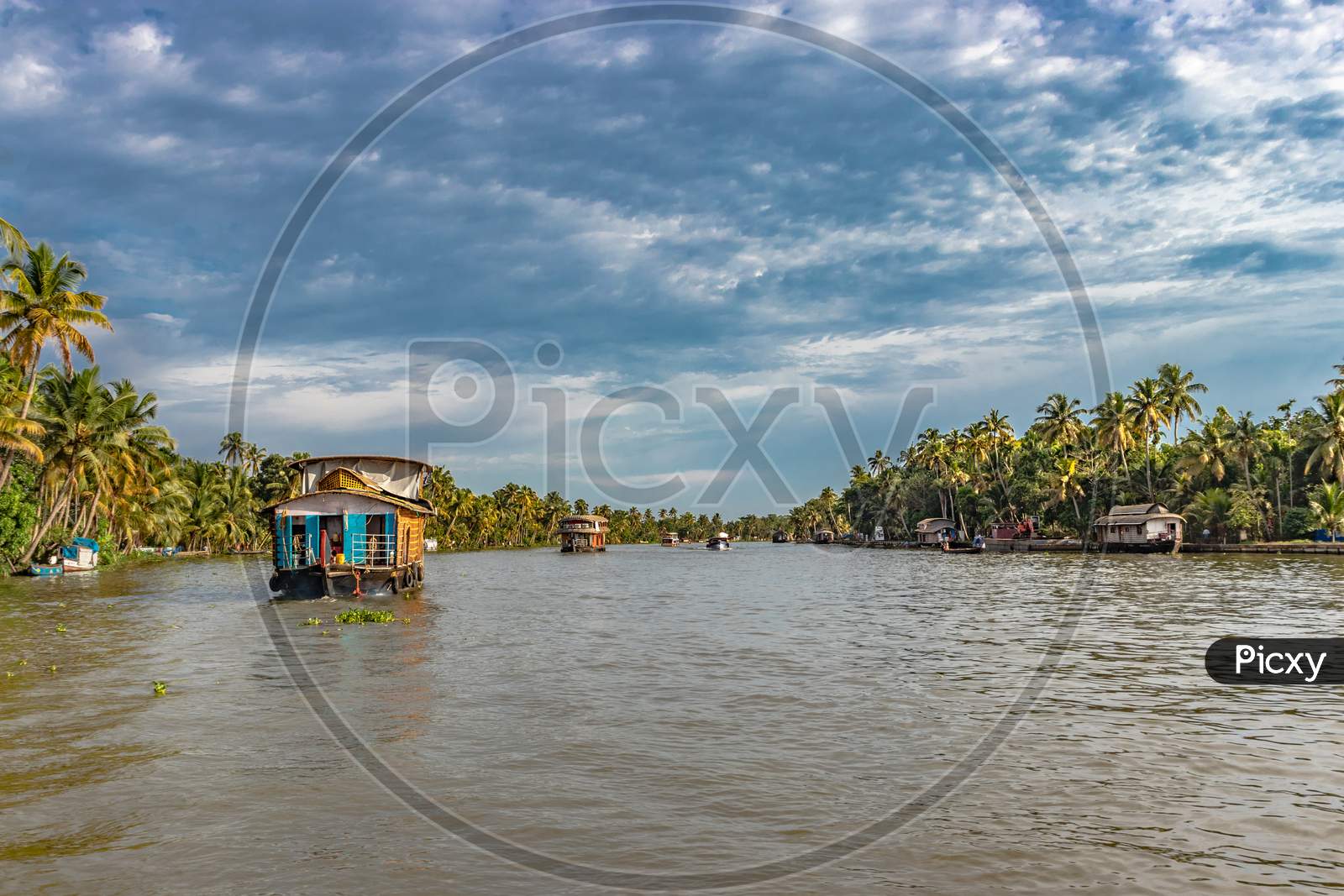 Houseboats in Backwater of alleppey