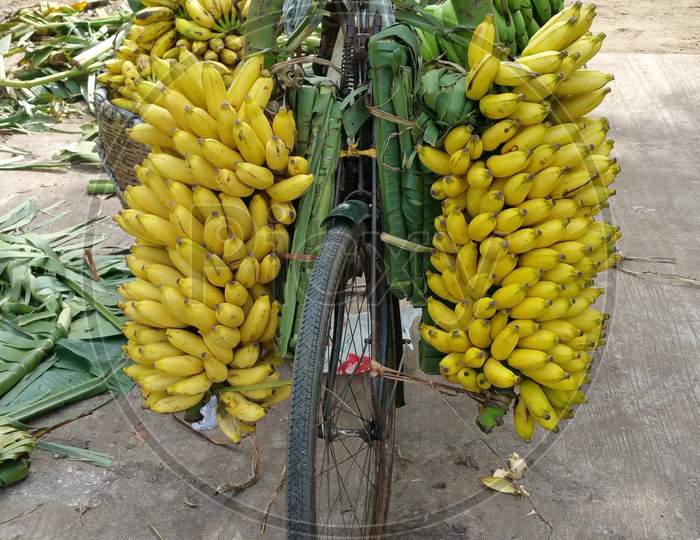 Bananas tied up to a bicycle