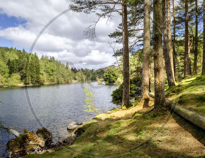 The picturesque Tarn Hows showing the water and the shore side trees.