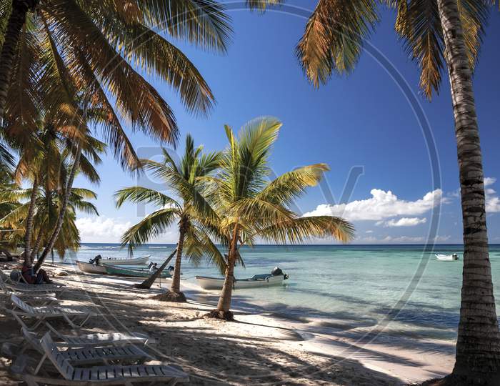 A relaxing shady part of a Caribbean beach.