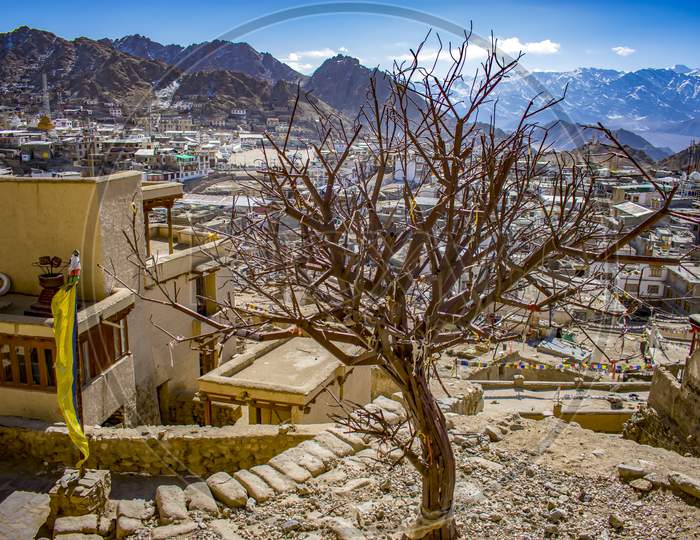 Tree Made Of Metals Portraying The Cityscape Of Leh City