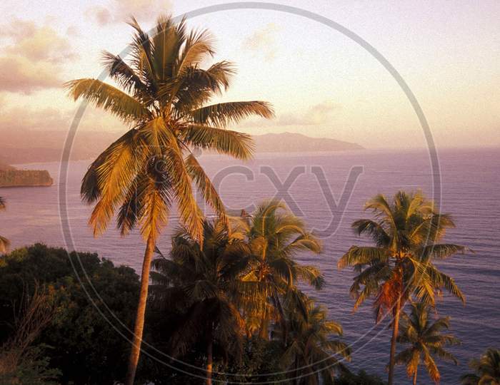 Beautiful pictures of Comoros