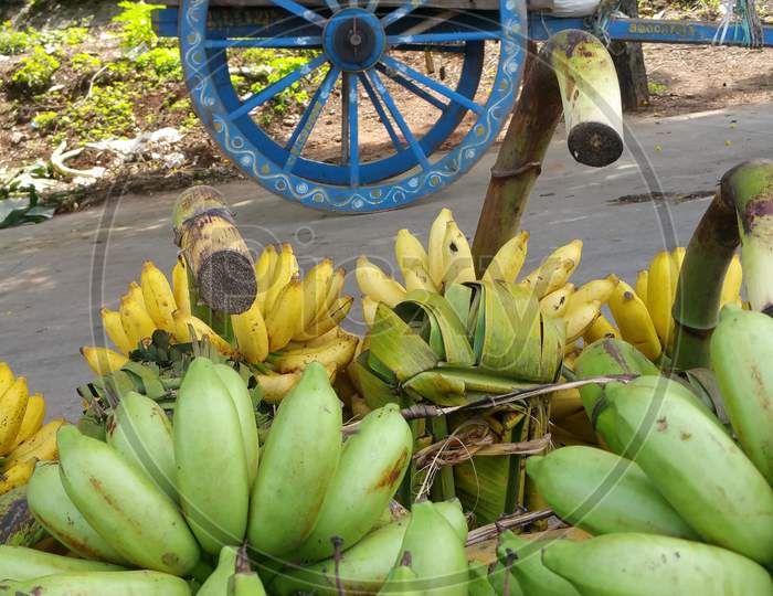 Banana market in rural India