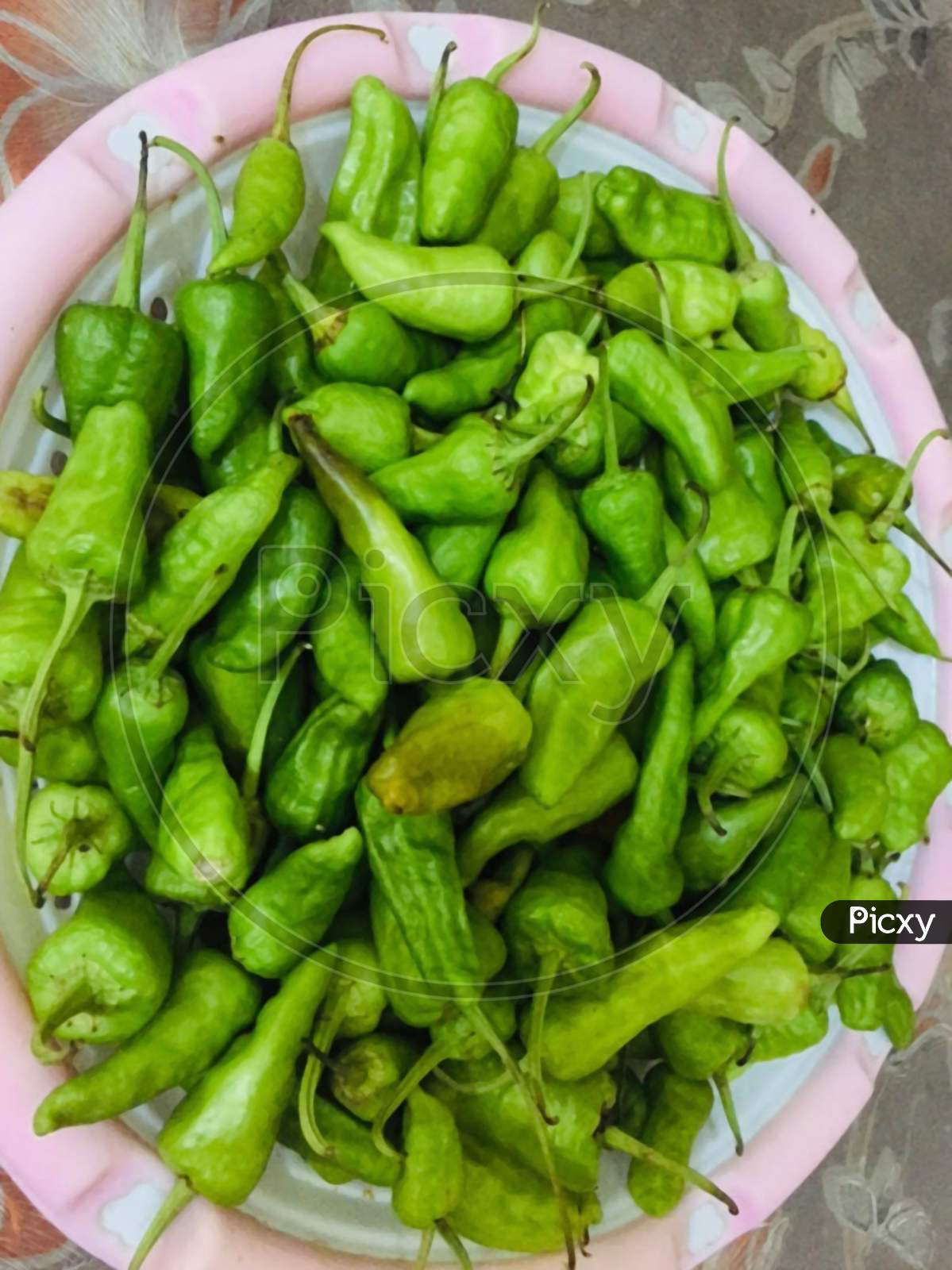 Picture of a photography of vegetable green chilli