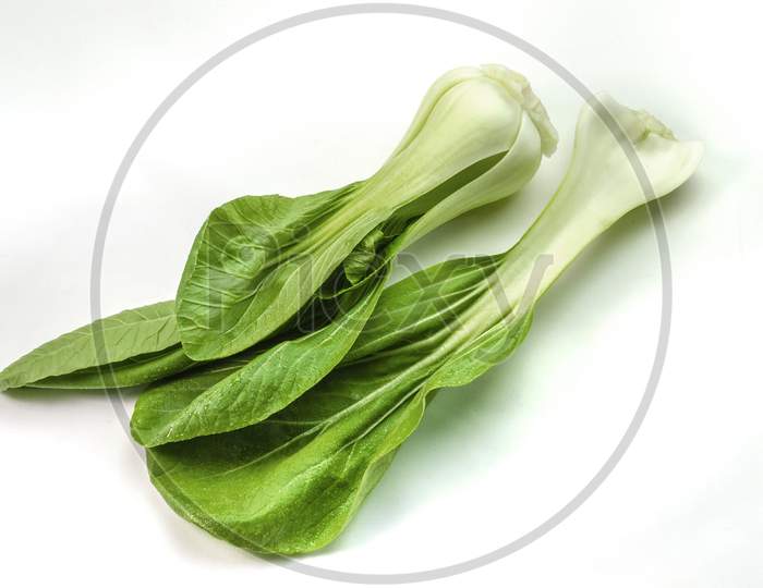 Two Pak choi or Chinese cabbage side by side on a white background.