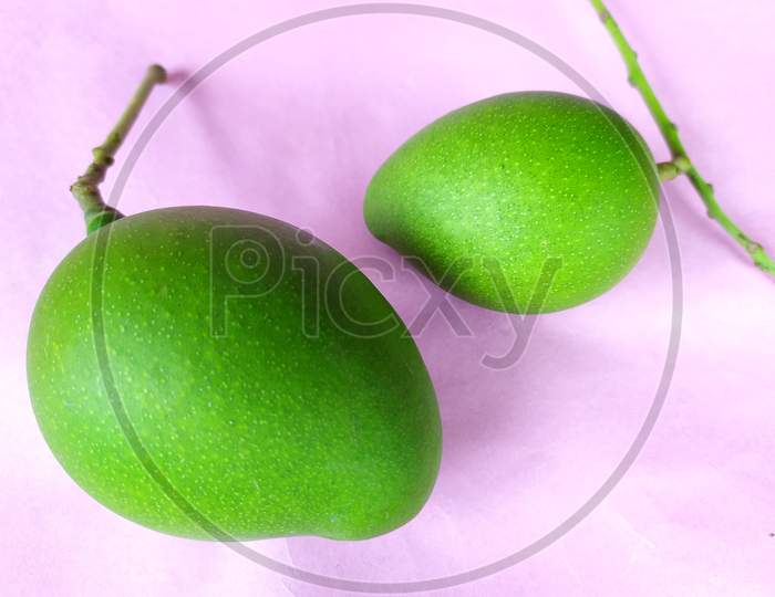 Two mangoes with stems on colour background.