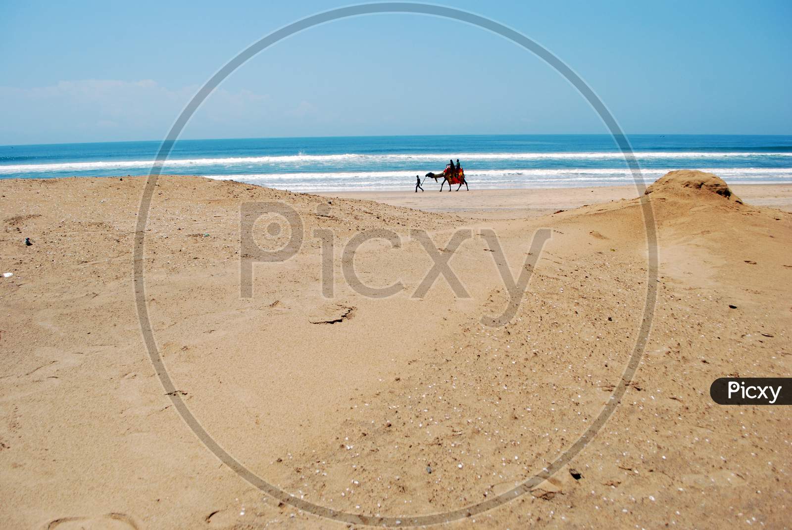 puri sea beach and camel ride