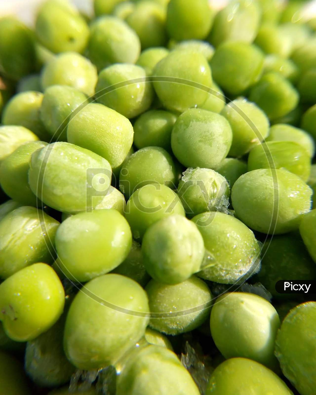 Freezed green peas in bulk in heap