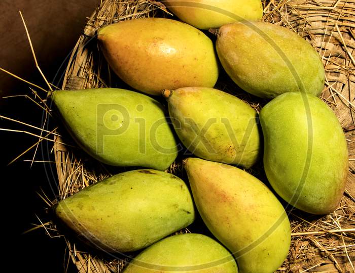 Mango Arrangement in Basket