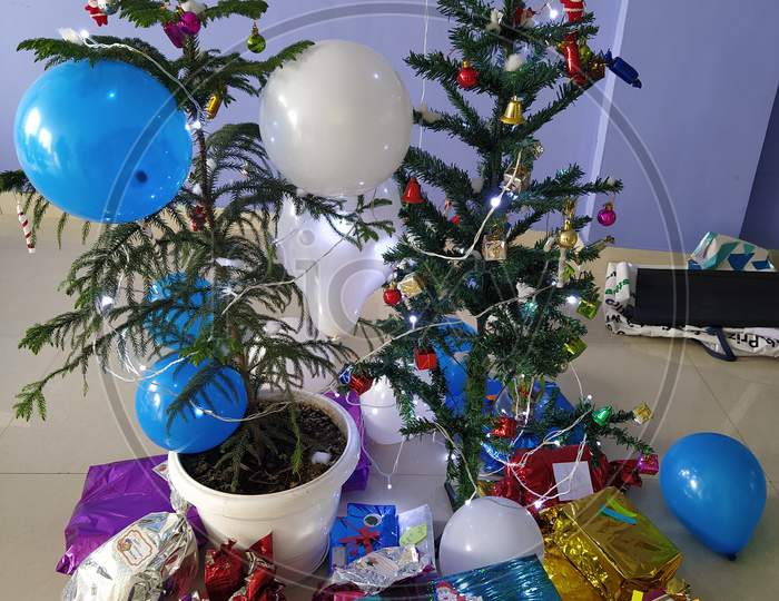 Christmas tree plant interior decoration at office gifts