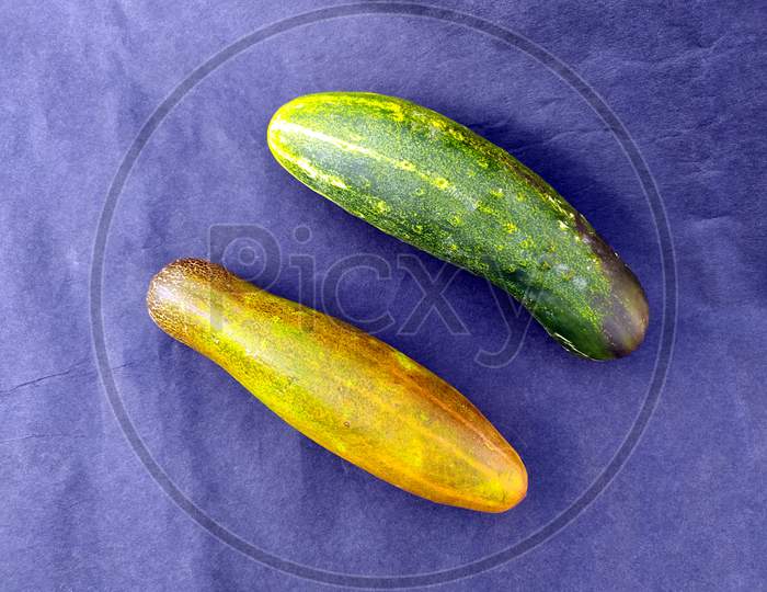 a fresh healthy cucumber isolated on seem less background