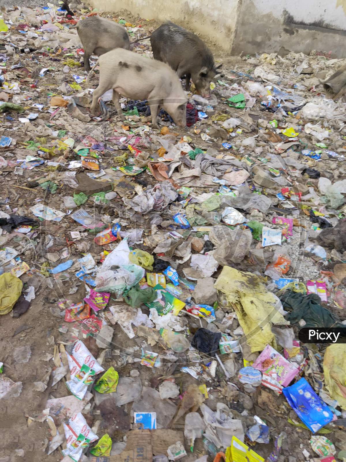 Plastic pollution in India, stop using plastic.